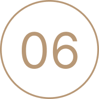 Brown circle with the number 06 in the center, set against a white background
